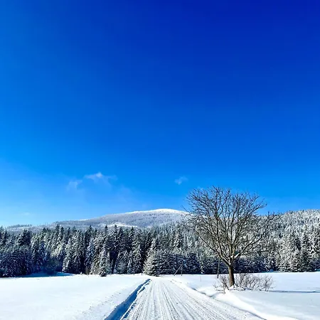 Dolce Vita-strefa Relaksu Alpesi faház Zubrzyca Górna