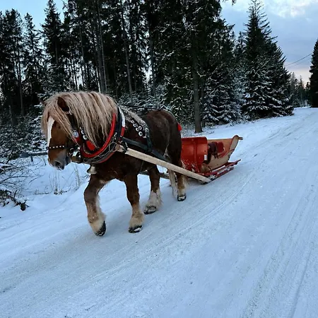 Alpesi faház Dolce Vita-strefa Relaksu